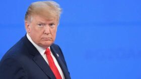 Маск: материалы дела Эпштейна не публикуются из-за того, что в них фигурирует Трамп