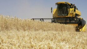 «Русагро» в III квартале увеличила выручку на 28%
