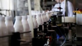 Мишустин: Россия расширила сбыт на внешних рынках мясной и молочной продукции