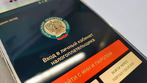 Read more about the article Каверина рассказала о риск-ориентированном подходе при проверках самозанятых